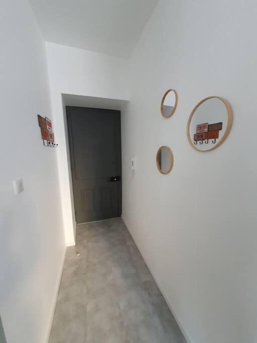 Roanne Centre, Appartement Refait A Neuf. Exteriér fotografie